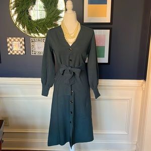 Ann Taylor Flare Skirt Sweater Dress- Teal